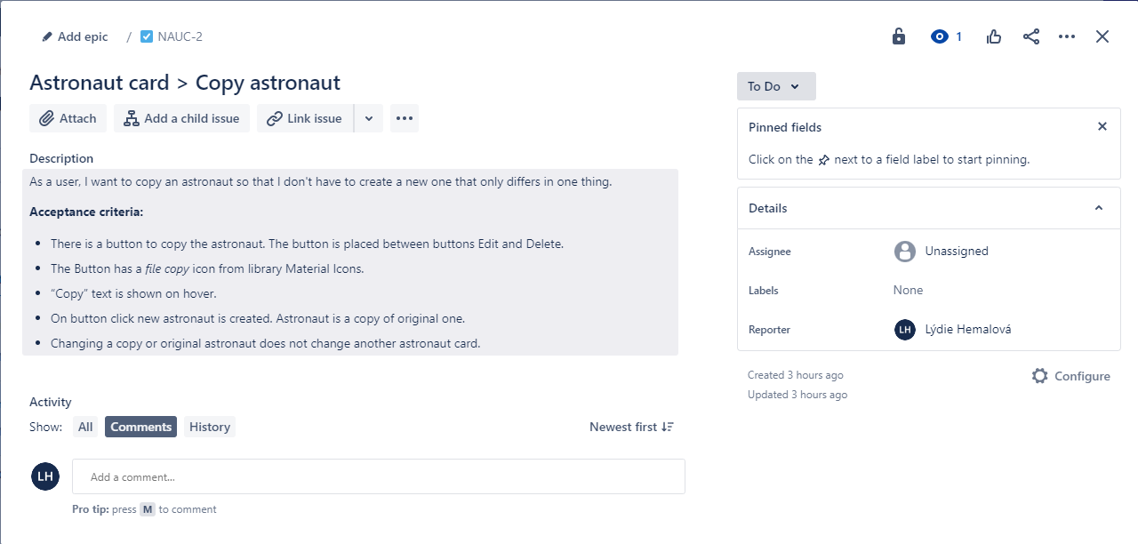 Ukázka ze software Jira na správu projektů - zadání ticketu v angličtině Jira - Ukázka zadání ticketu v angličtině